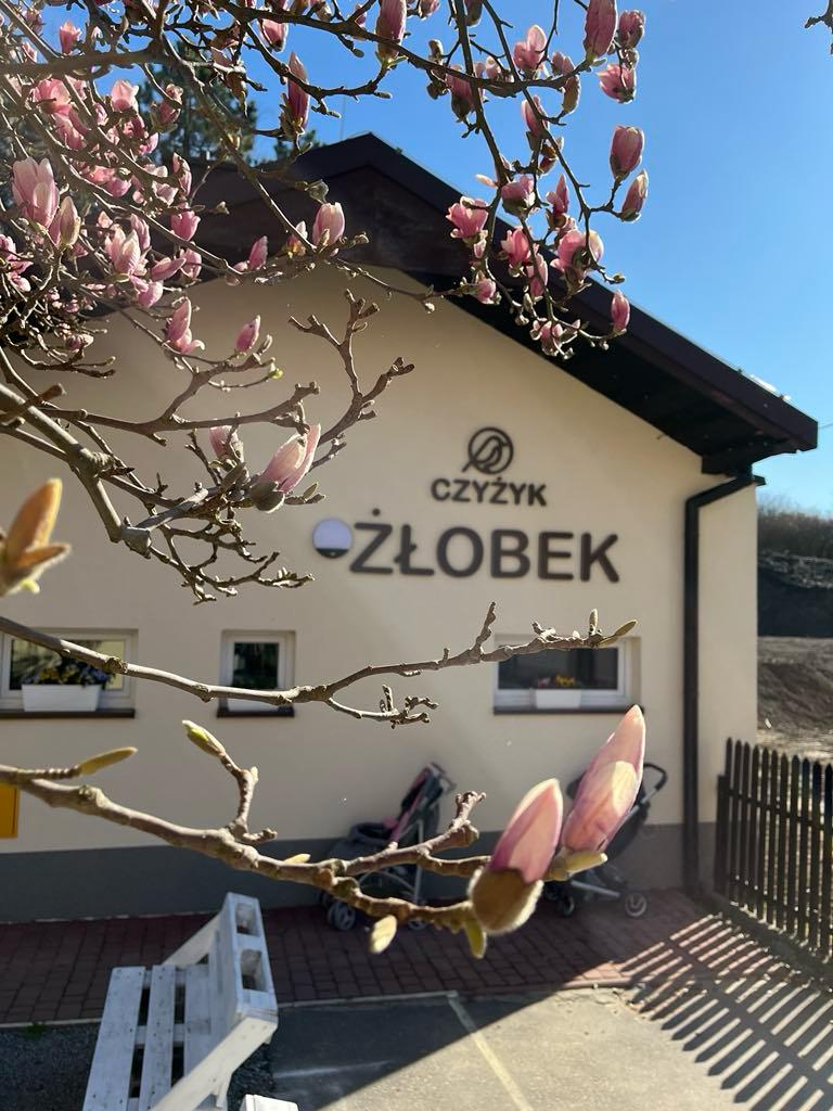Jasny budynek placówki na którym widnieje logo "CZYŻYK ŻŁOBEK". Przed budynkiem kwitnie magnolia z różowymi kwiatami. W tle błękitne niebo.